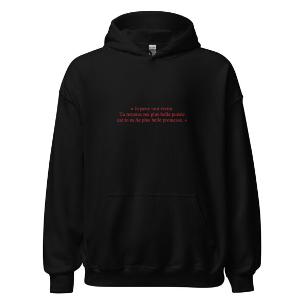 unisex-heavy-blend-hoodie-black-front-6549f634b7612.jpg