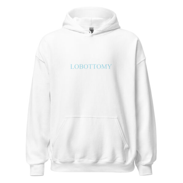 unisex-heavy-blend-hoodie-white-front-654b87b122b87.jpg
